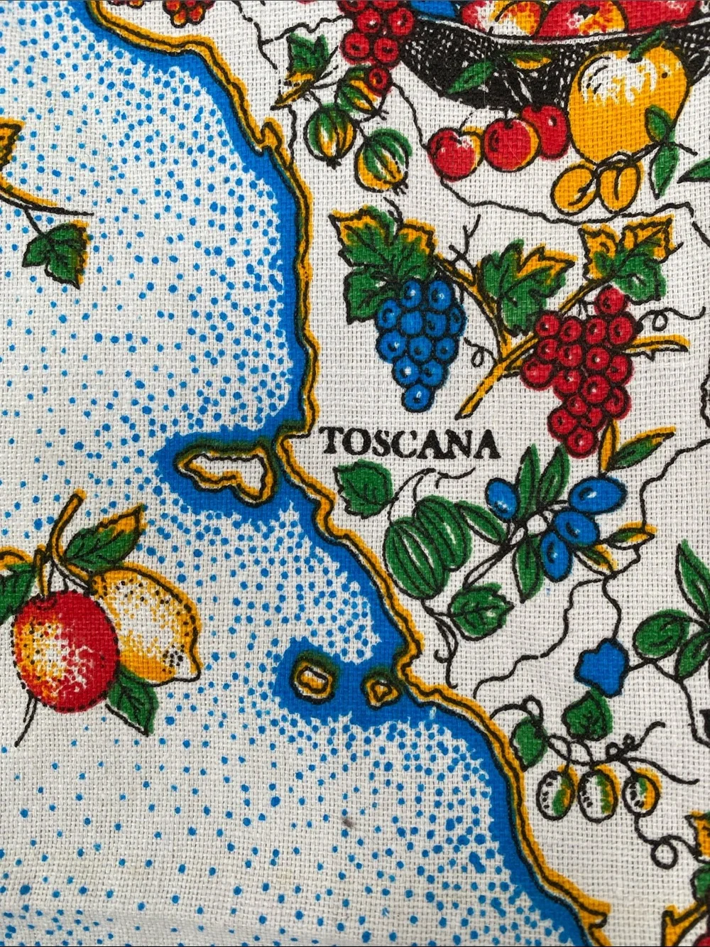 Italian Map Illustration Kitchen Towel / Tapestries 22 x 33 inches NWOT